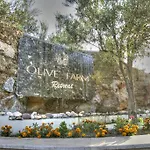 Olive Farm Of (adults Only) 2* Datça