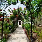 ホテル Olive Farm Of (adults Only) 2*