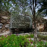 Olive Farm Of (adults Only) ダッチャ