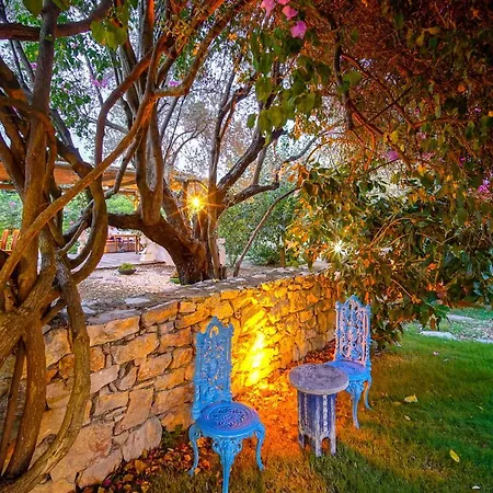 Olive Farm Of (adults Only) Hotell