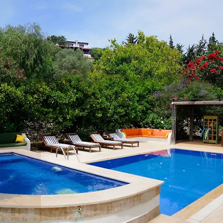 Olive Farm Of (adults Only) 2*