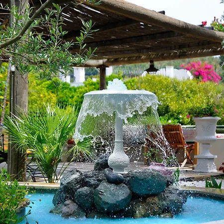 Ξενοδοχείο Olive Farm Of (adults Only) 2*