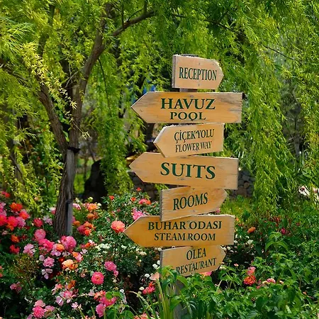 Olive Farm Of (adults Only) Datca