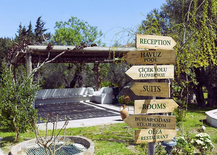 Olive Farm Of (adults Only) Ξενοδοχείο 2*