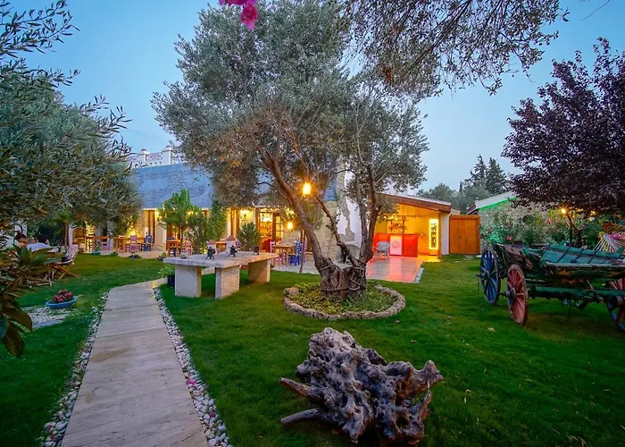 Olive Farm Of (adults Only) Ξενοδοχείο