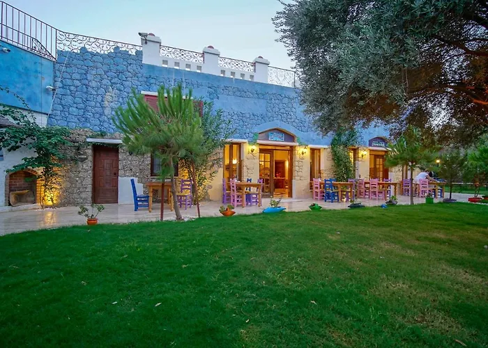 Olive Farm Of (adults Only) דטקה