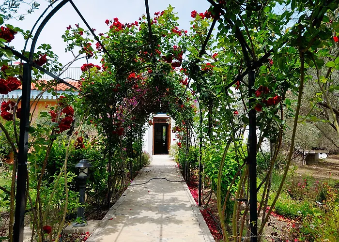 Ξενοδοχείο Olive Farm Of (adults Only) 2*