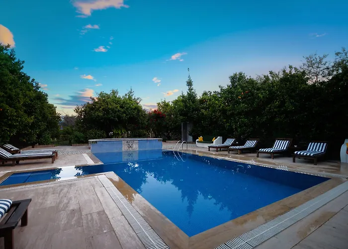 Olive Farm Of (adults Only) Ξενοδοχείο 2*