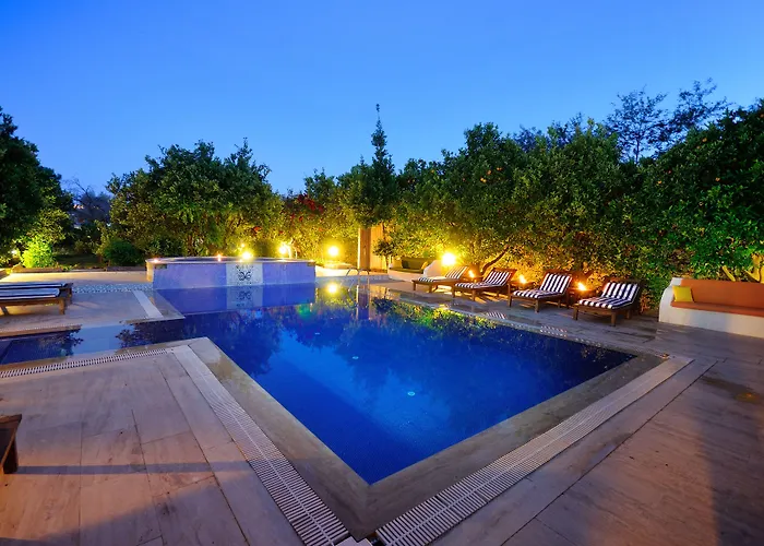 מלון Olive Farm Of (adults Only) 2*