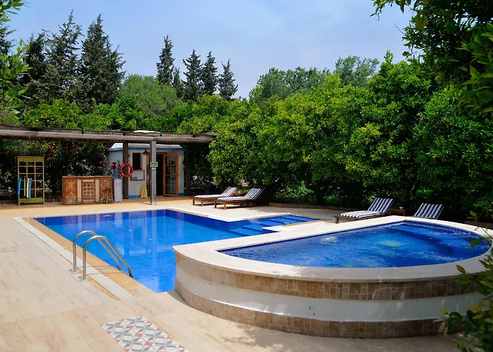 Olive Farm Of (adults Only) 2*