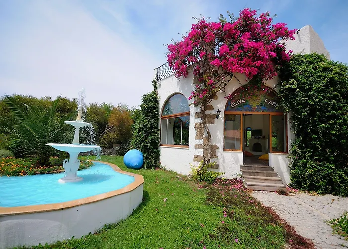 Olive Farm Of (adults Only) 2* דטקה