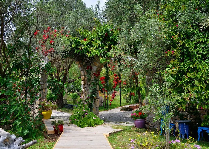 Olive Farm Of (adults Only) 2*