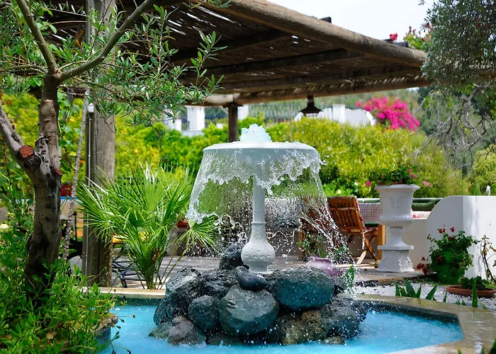 Ξενοδοχείο Olive Farm Of (adults Only) 2*