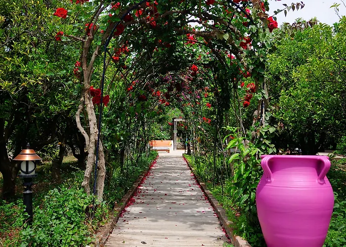 Olive Farm Of (adults Only) Ξενοδοχείο Datca