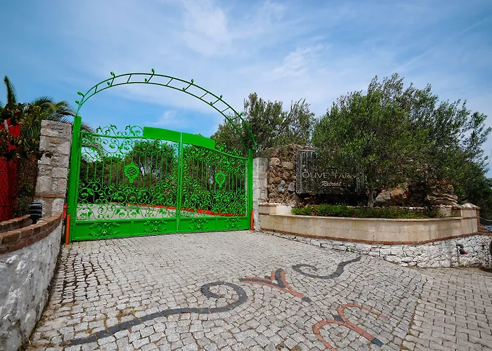 Ξενοδοχείο Olive Farm Of (adults Only) 2*