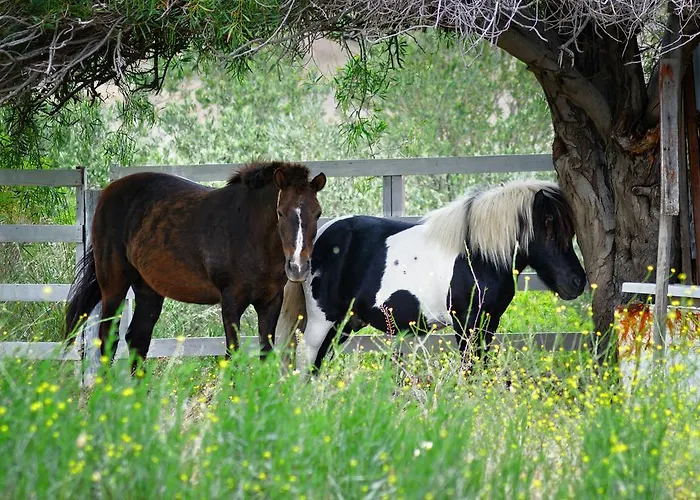 Ξενοδοχείο Olive Farm Of (adults Only)