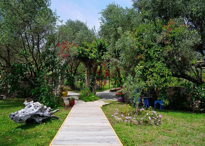 Ξενοδοχείο Olive Farm Of (adults Only) 2*