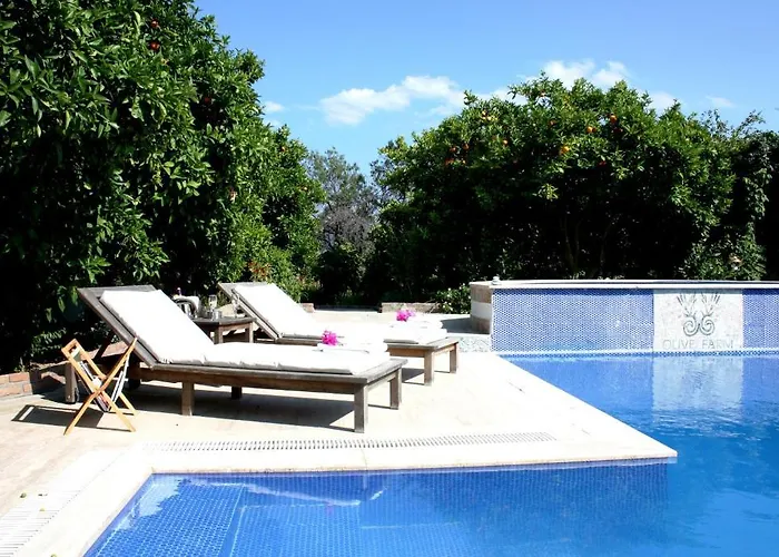 Olive Farm Of (adults Only) Ξενοδοχείο Datca