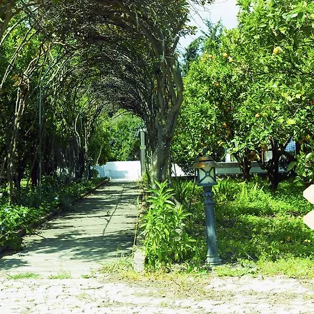 Ξενοδοχείο Olive Farm Of (adults Only) 2*