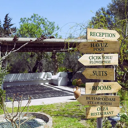 Olive Farm Of (adults Only) Otel 2*