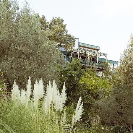 Olive Farm Of (adults Only) 2*