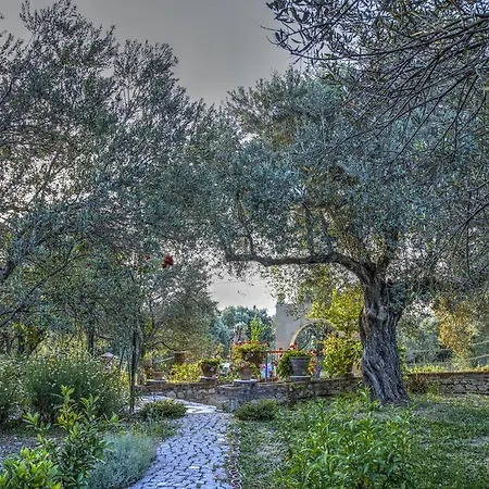 Olive Farm Of (adults Only) Otel 2*