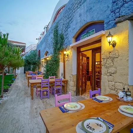 Olive Farm Of (adults Only) Szálloda