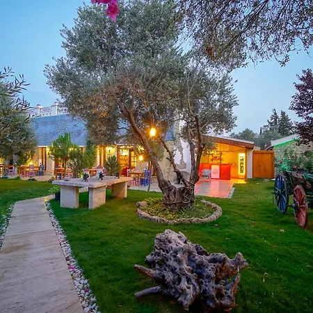 Olive Farm Of (adults Only) Otel