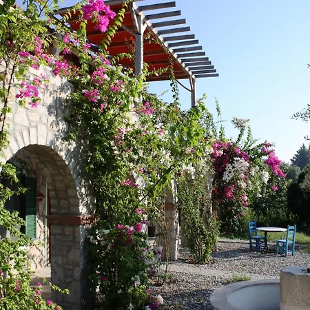 Olive Farm Of (adults Only)