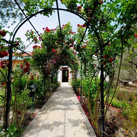 Hotel Olive Farm Of (adults Only) 2*