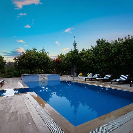 Olive Farm Of (adults Only) Szálloda 2*
