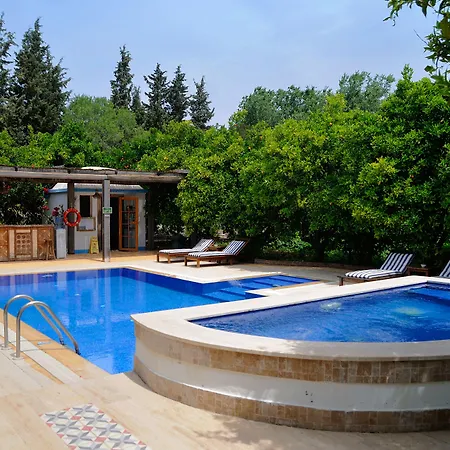 Olive Farm Of (adults Only) 2*
