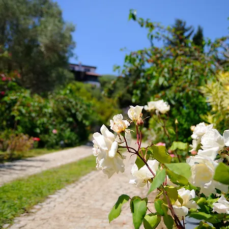 Olive Farm Of (adults Only) 2* Datça