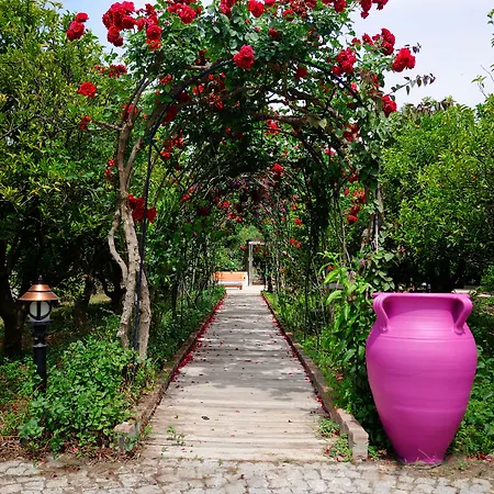 Olive Farm Of (adults Only) Szálloda Datça