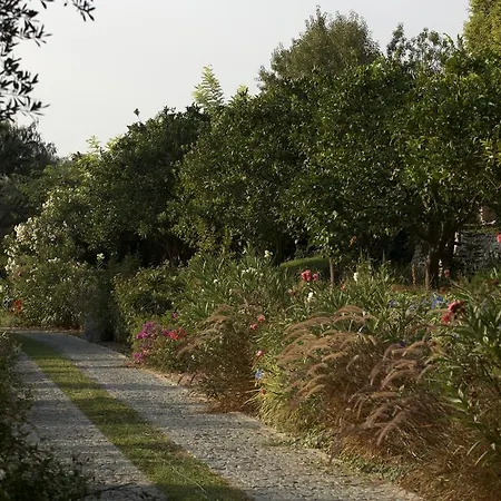 Olive Farm Of (adults Only) Otel