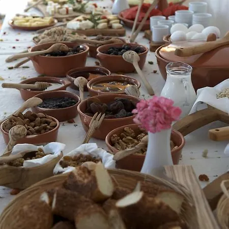 Olive Farm Of (adults Only) 2* Datça