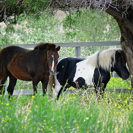 Hotel Olive Farm Of (adults Only)