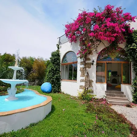 Olive Farm Of (adults Only) Datça