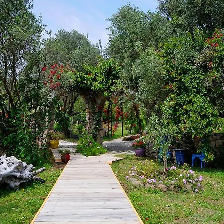 Otel Olive Farm Of (adults Only) 2*