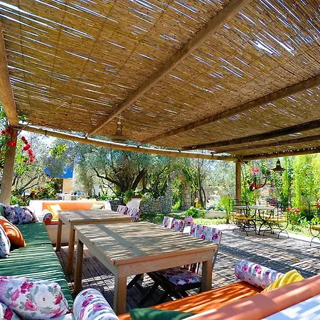 호텔 Olive Farm Of (adults Only) 2*