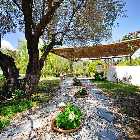 Ξενοδοχείο Olive Farm Of (adults Only) Datca