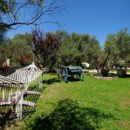 Hotel Olive Farm Of (adults Only) Datca