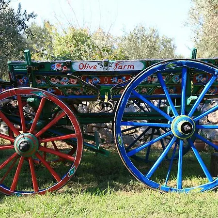 Olive Farm Of (adults Only) Szálloda 2*