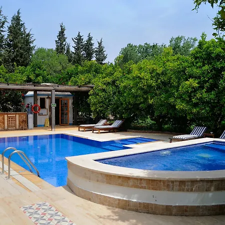 Olive Farm Of (adults Only) Datça