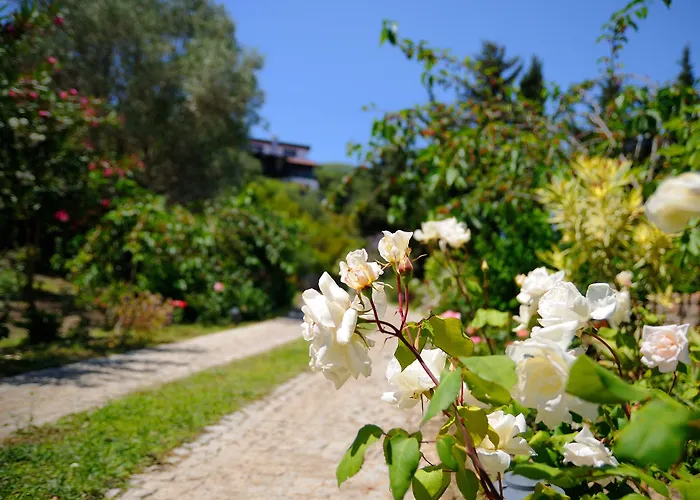 Olive Farm Of (adults Only) 2* Datça